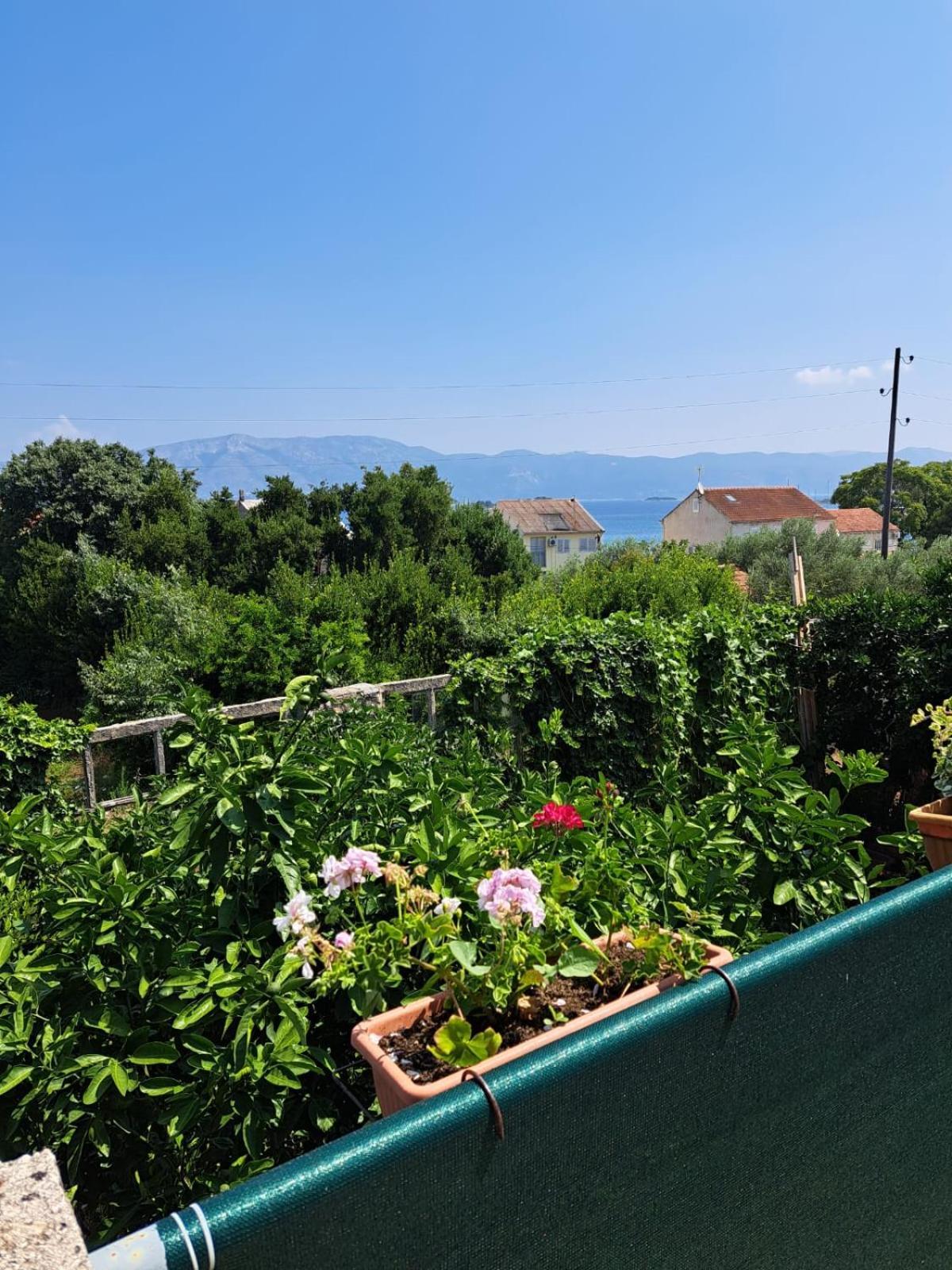 Apartmani Dušica Lumbarda Exteriér fotografie